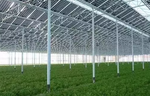 光伏农业+温室大棚 四重优势下一种全新的发展模式