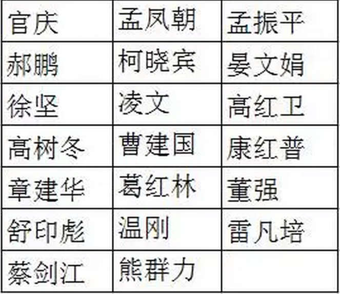 国网、国电投、大唐、神华、三峡等8家能源企业，总计29家央企大佬入选十九大代表