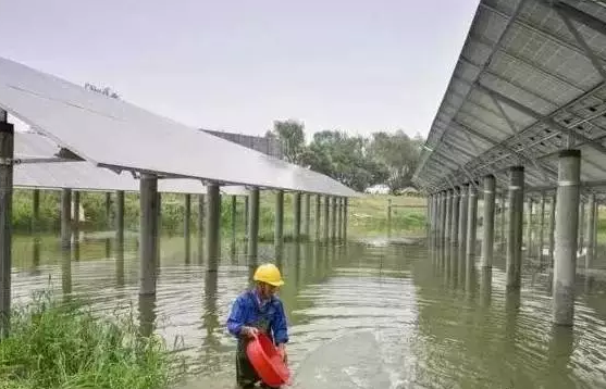 光伏农业——最新经济热点，遍地机遇你抓住了吗？