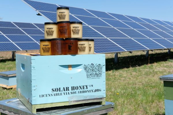 美国明尼苏达州新法案：太阳能电站应同时架设蜜蜂栖息地