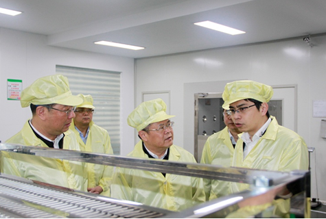 市委书记莅临锦浪科技指导工作!