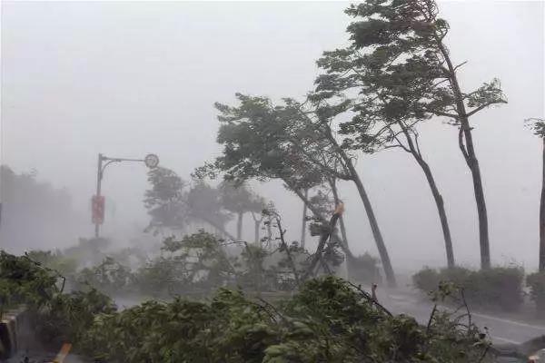 山竹肆掠： 台风天，光伏电站如何将损失降至最低