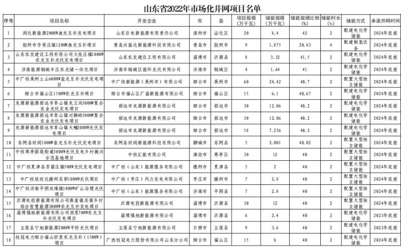 山东并网1